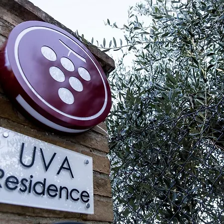 - Uva Fano (Pesaro and Urbino)