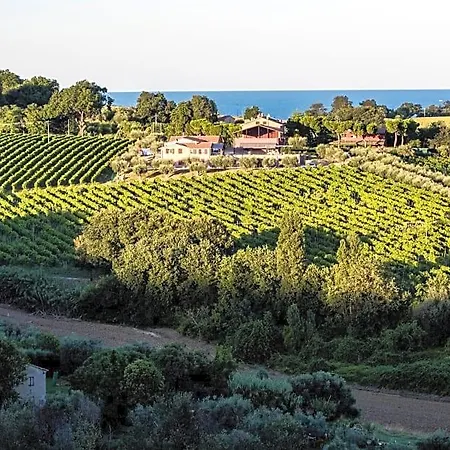 Bed & Breakfast - Uva Fano