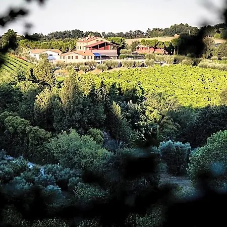 - Uva Bed & Breakfast 3*