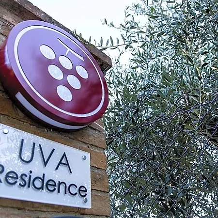 Bed & Breakfast - Uva
